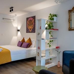 Studio met een King Size Bed